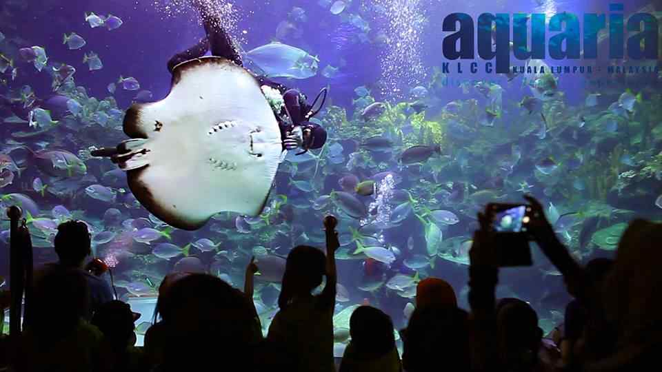 Aquaria KLCC Ticket Price for 2017 & Location Info