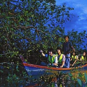 kampung kuantan kuala selangor fireflies tour