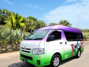 penang private car charter around the penang island