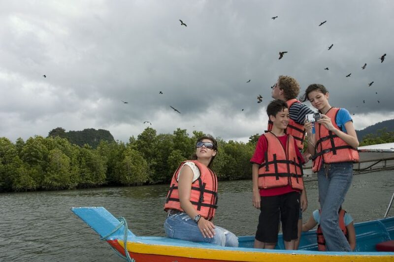 langkawi mangrove tour lets you see eagle feeding around the kilim geoforest park in langkawi