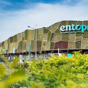 entopia penang discount promo ticket gives you access to this butterfly farm in the ferringhi area