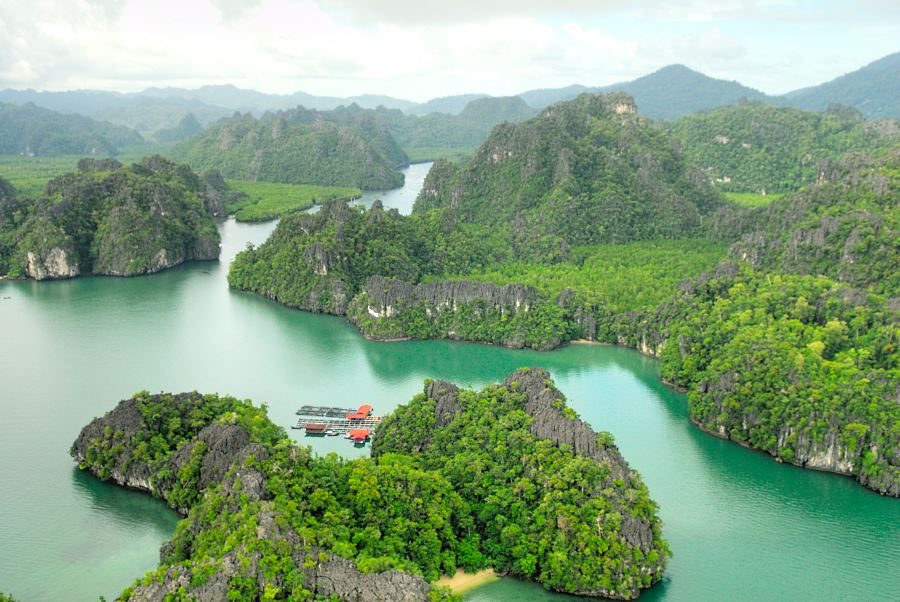 mangroven tour langkawi