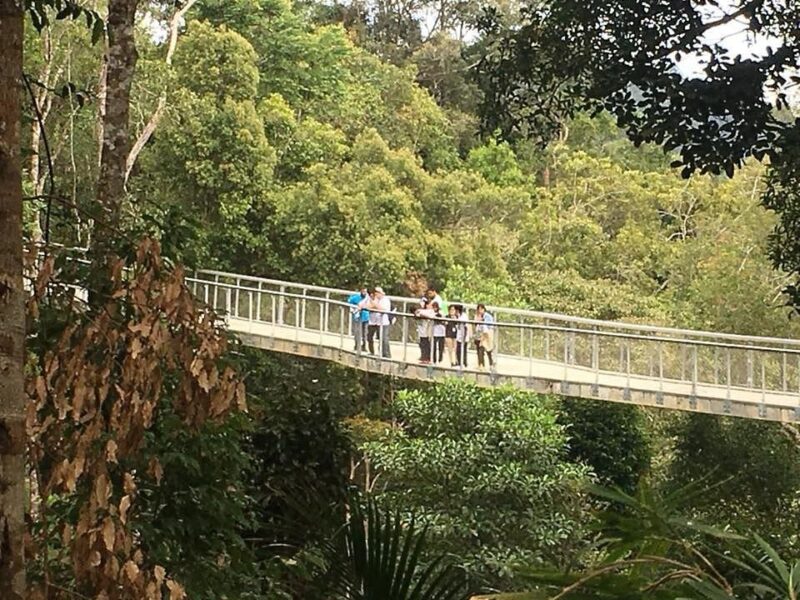 the long canopy bridge of the habitat penang