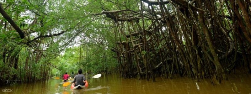 langkawi kubang badak kayaking tour