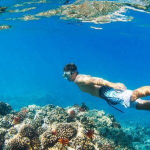 the sapi and manukan island hopping tour lets you dive into the waters of the two islands (which by the way is within the tunku abdul rahman park)