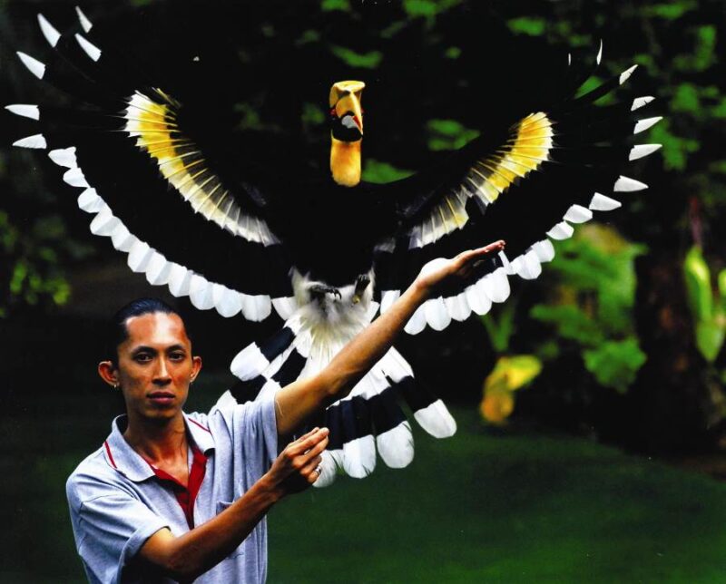 an animal show here may involve birds as well as elephants