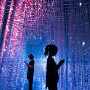 with the artsceince museum singapore ticket you'll get to enjoy the joy of science and how it can turn into arts in one visit