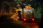 bali-safari-nightsafari surrounded by tiger in the bali safari and marine park