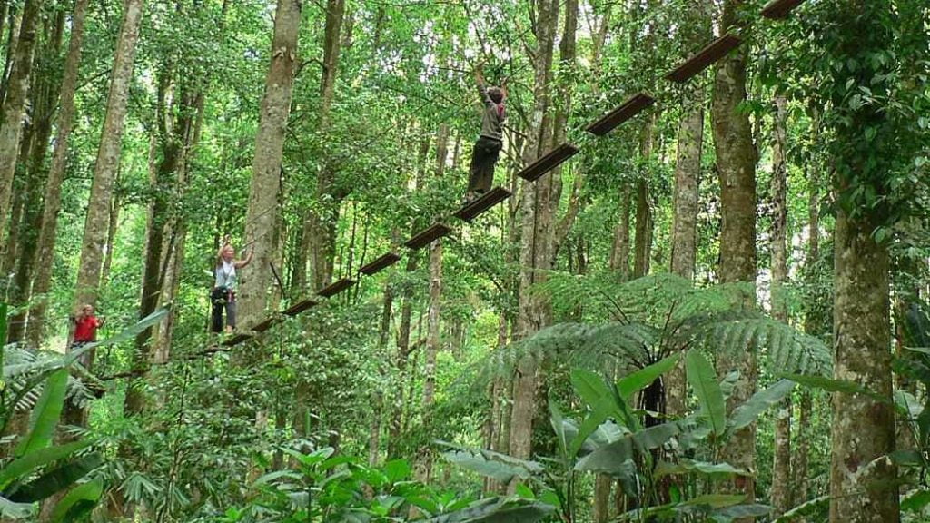 the swinging canopy bridge in bali treetop walk