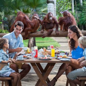 family enjoying breakfast with the bali zoo breakfast with the orang utan package addon