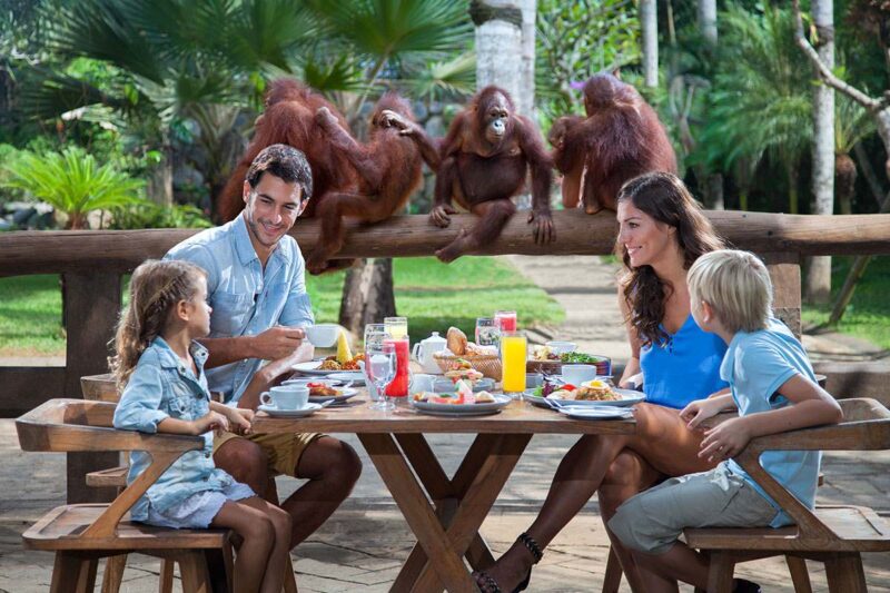 family enjoying breakfast with the bali zoo breakfast with the orang utan package addon