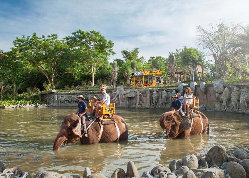 although not cheap, you may also ride elephants in the bali zoo
