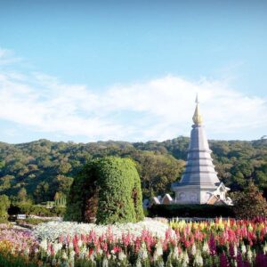 with the doi ithanon tour you'll get to be close to nature and see the thai national park in chiang mai