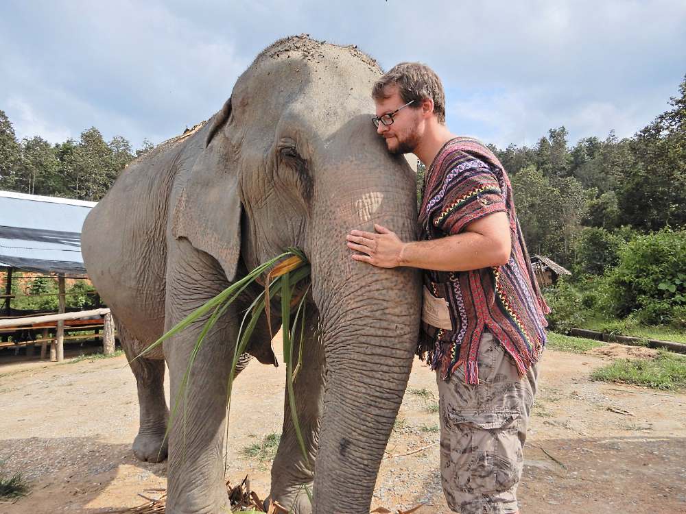 get up close and personal with the chiang mai elephant mountain sanctuary