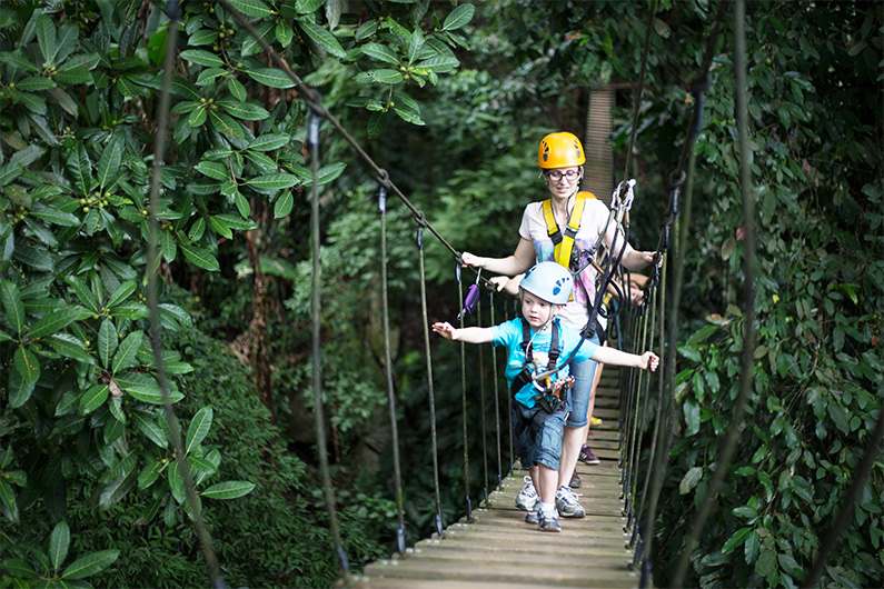 flight of the gibbon chiang mai is family friendly
