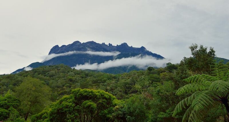 the kinabalu mountain from a far looks majestic, just as the stunning as the amount of flora and fauna you could find here during tour or trip from your kinabalu hotel