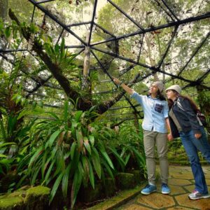 a kinabalu park tour ticket lets you see the kinabalu park and poring hot spring