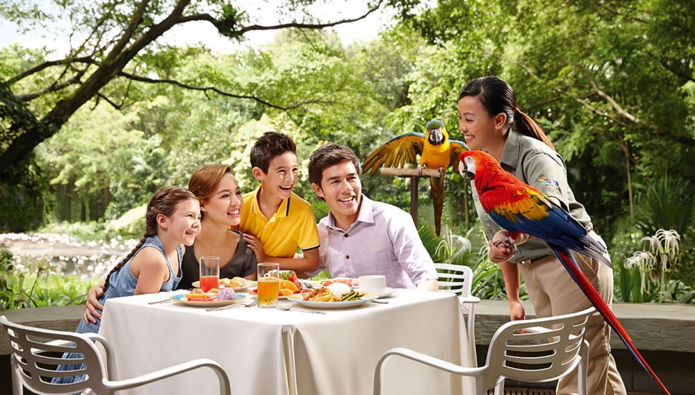 with a lunch with the parrots ticket at the jurong bird park singapore, you'll enjoy your food while being entertained by the smart macaws