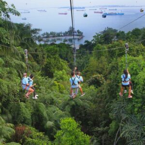 with megazip sentosa ticket you'll enjoy a flying fox adventure in the sentosa island