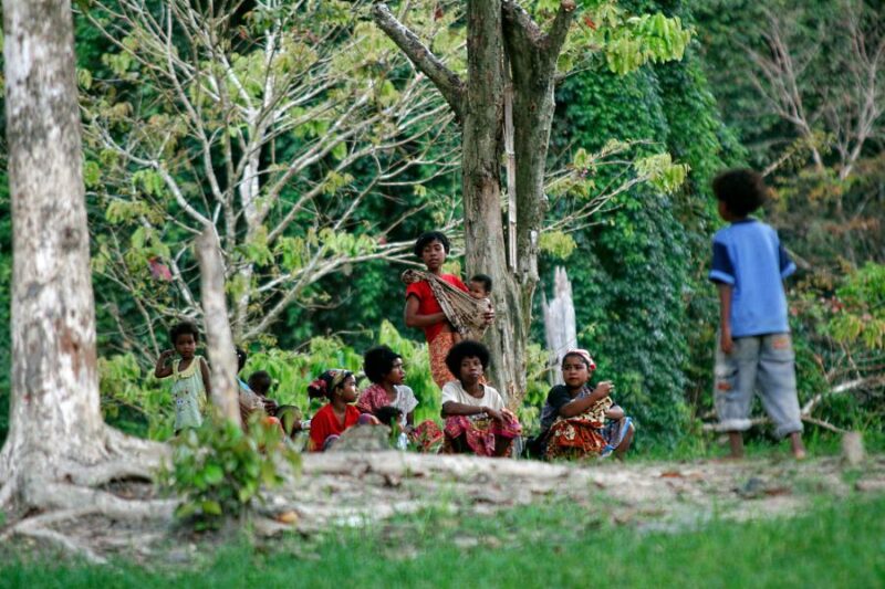 the jahai aborigines can also be met during your belum rainforest tour