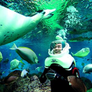 sea aquarium singapore ticket lets you see underwater world in singapore