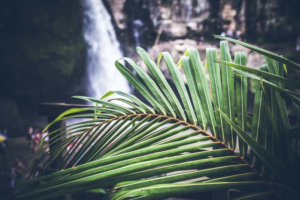 sekumpul waterfall in bali indonesia