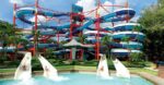 amazing water slides in the theme park