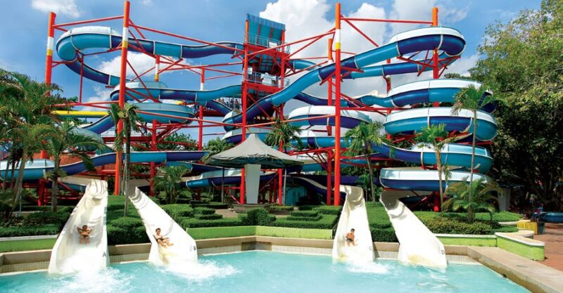 amazing water slides in the theme park