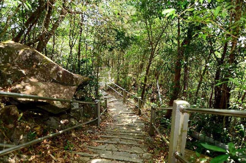skytrail trek in mat chincang langkawi