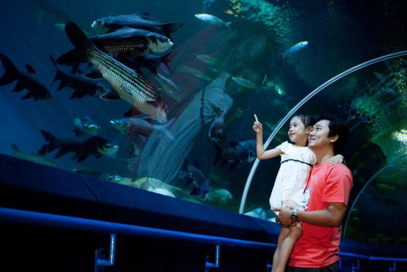 with the underwater world pattaya ticket you may enter this oceanarium with your family