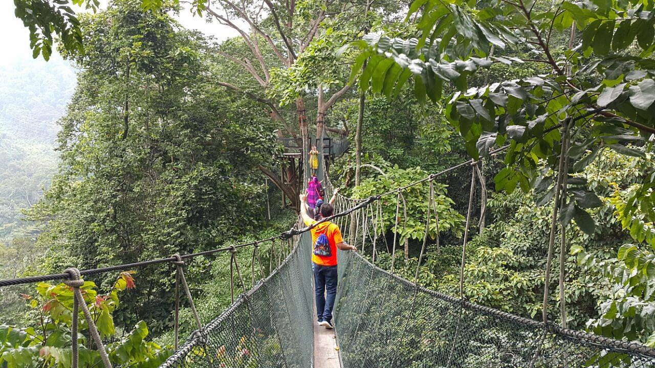 Forest Research Institute Malaysia FRIM Price 2020 ...