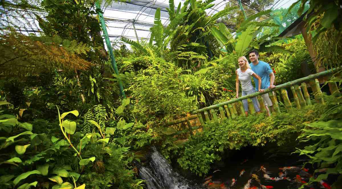 KL Butterfly Park Price 2020 + Online DISCOUNTS & PROMO