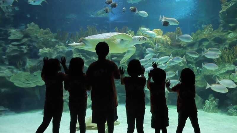 aquaria klcc or klcc aquarium tickets