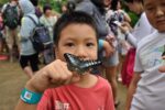 entopia butterfly ticket lets you get into penang butterfly farm