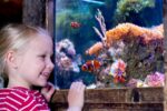 up close with aquarium at sea life malaysia with a discount ticket