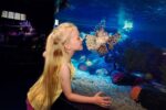 kissing fish in sea life malaysia