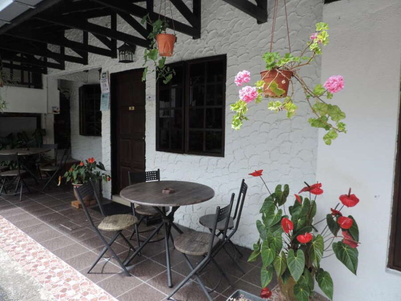 Affordable Gems: 17 Best Budget Hotels in Cameron Highlands Starting ...