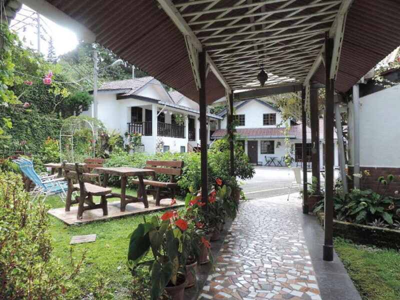 Affordable Gems: 17 Best Budget Hotels in Cameron Highlands Starting ...