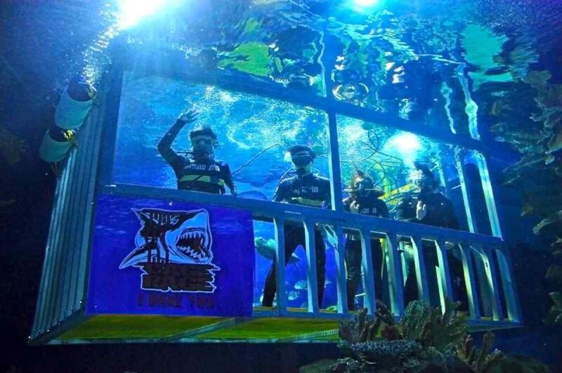 Aquaria KLCC cage rage tickets - get discount tickets to see sharks in cage